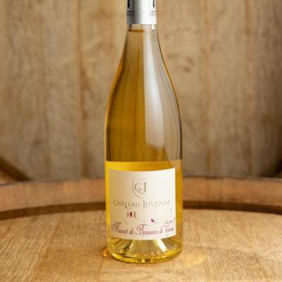 Muscat de Beaumes de Venise 2024
