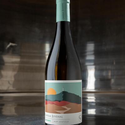 Ribes du Vallat Blanc 2023