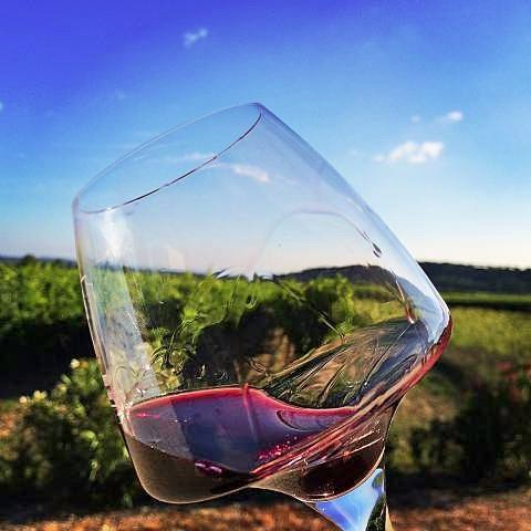 Vinverre